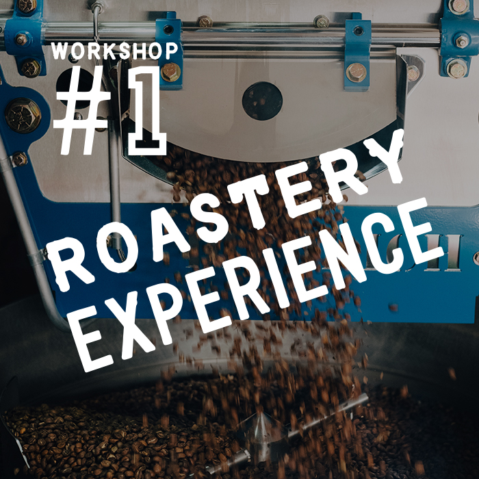 workshop-1-product-image