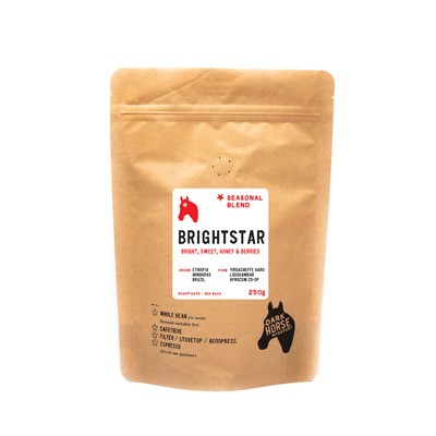brightstar on bag